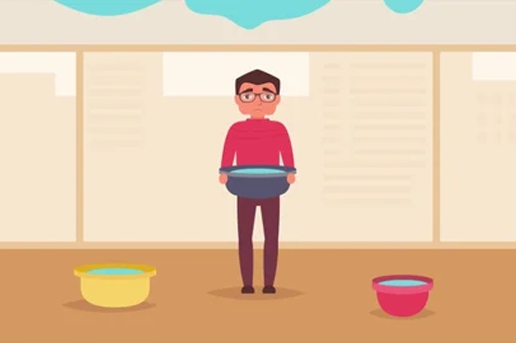 wyali CamogividaT”